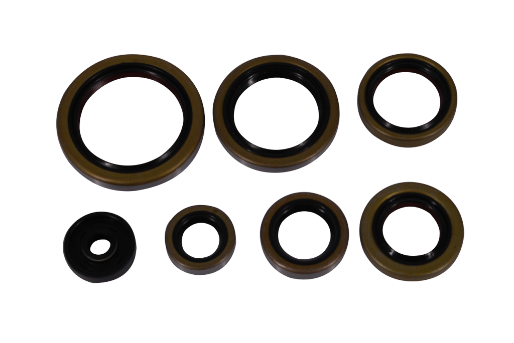 Engine seal kit KTM EXC 250/300 17-23 TPI P400270400083 Enduro Expert 8023EE
