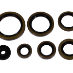 Engine seal kit KTM EXC 250/300 17-23 TPI P400270400083 Enduro Expert 8023EE