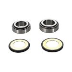 Κιτ bearingλεμάν οδήγησης Kawasaki KX125/250/250F/450F, KLX450R· Suzuki RM-Z250 04-06