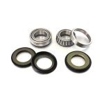 Steeringλεμάν διεύθυνσης KTM· Husqvarna· αέριο αέριο· βήτα· Χουσαμπέργκ