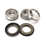 Steeringλεμάν διεύθυνσης Αέριο EC/EC-F 06-19, MC 06-11, XC250 18-19